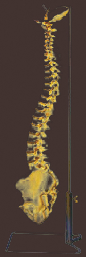 ģͣ񾭸